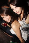 Knock Out Party 10 8131254
