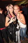 Knock Out Party 10 8131350