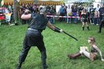 1. Mittelalterfest im Wiener Prater 8201152