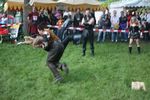 1. Mittelalterfest im Wiener Prater 8201159