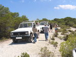 Ibiza - Jeepsafari 823021