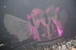 Sensation - Wicked Wonderland 8238703