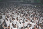 Sensation - Wicked Wonderland 8238725