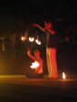 Firedance Festival 2005 831965