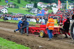 Tractorpuling Kollerschlag 8340566