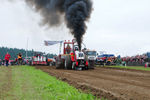 Tractorpuling Kollerschlag 8340648