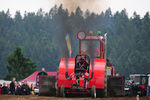 Tractorpuling Kollerschlag 8340699