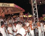 Das Weisse Fest am See 8485399