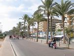 Mallorca 2005 850445