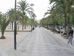 Mallorca 2005 850688