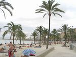 Mallorca 2005 850696