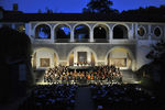 Musikfestival Steyr - Eröffnungskonzert  8510584