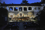 Musikfestival Steyr - Eröffnungskonzert  8510585