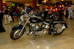 Harley- Davidson® Charity Tour Austria 8592180