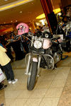 Harley- Davidson® Charity Tour Austria 8592293