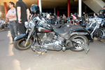 Harley- Davidson® Charity Tour Austria 8592313