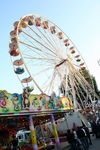 Welser Volksfest 8702792