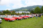 Oldtimertreffen im Mondseeland 8706416