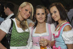 Schiedlberger Oktoberfest 8759722