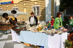 BauernMarkt Mondsee 8763763