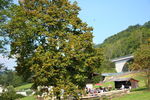 BauernMarkt Mondsee 8763876