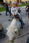 BauernMarkt Mondsee 8764945