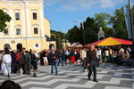 BauernMarkt Mondsee 8764997