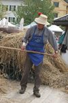 8. Südtiroler Brot- und Strudelmarkt 8805032