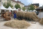 8. Südtiroler Brot- und Strudelmarkt 8805037