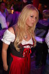 Oktoberfest 8809487