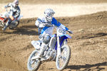 OOE-MX Cup in Putzleinsdorf 8825808