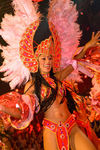 Carneval Rio de Janeiro 8849427