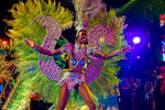 Carneval Rio de Janeiro 8849440