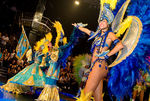 Carneval Rio de Janeiro 8849442