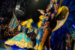 Carneval Rio de Janeiro 8849443