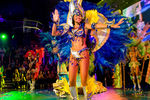 Carneval Rio de Janeiro 8849447