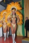 Carneval Rio de Janiero 8908429