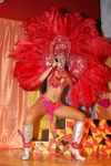 Carneval Rio de Janiero 8908435