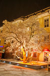 Advent in Mondsee 9040007