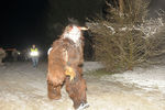 PerchtenLauf in Vöcklabruck 9047609