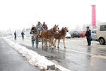 Krampuslauf und Nikolausbesuch