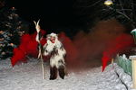 Perchtenlauf Zell am Moos 9064322