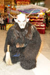 Krampuslauf und Nikolausbesuch 9064604