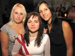 Piraten- & Stammgastparty 911072