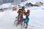 Skijoering Gosau by Iceman 64 9130868