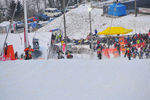 SnowSpeedHill-RACE 2011 Fotos Harald Ecker 9241122