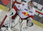 AUT, EBEL, EC Red Bull Salzburg vs Jesenic