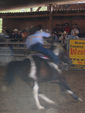 American Rodeo 940408