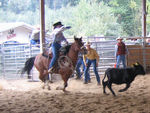 American Rodeo 940411