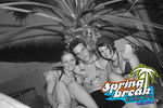Spring Beach 2011 9415057
